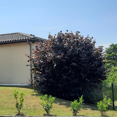 Les Hauts De Sarlat G4 - Clim Piscine Parking Wifi 2 Chambres Exterior foto